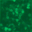 cell