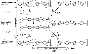 PANI in HCI