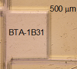 Integrated Fluorescence Sensing