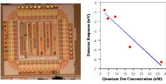 Fluorescence Sensor