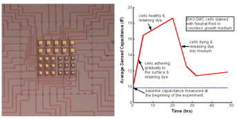 Capacitance Sensor