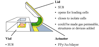 Lidded Vial