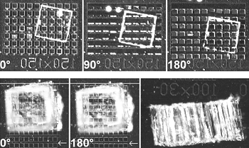 Bilayer Force