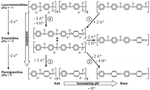 Polyaniline