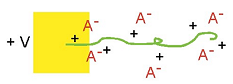 Redox