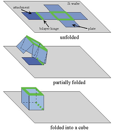 Self-Assembling Boxes